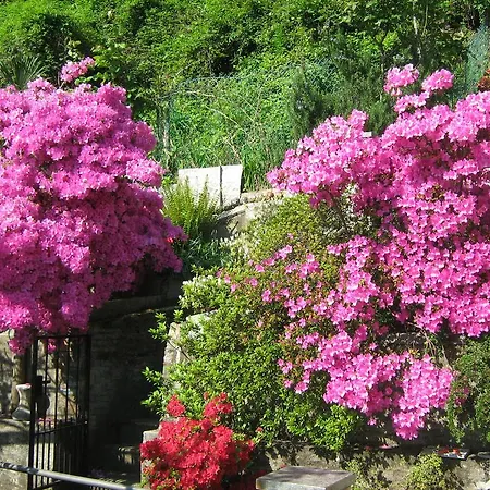 Finestra Sul Lago Cannobio